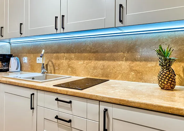 Ostoja Vip Z Sauna, Strefa Relaksu I Pokojem Zabaw By Royal Aparts Apartmán Sklářská Poruba